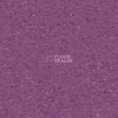Линолеум Tarkett iQ Granit MEDIUM VIOLET 0451 фото 1 | FLOORDEALER